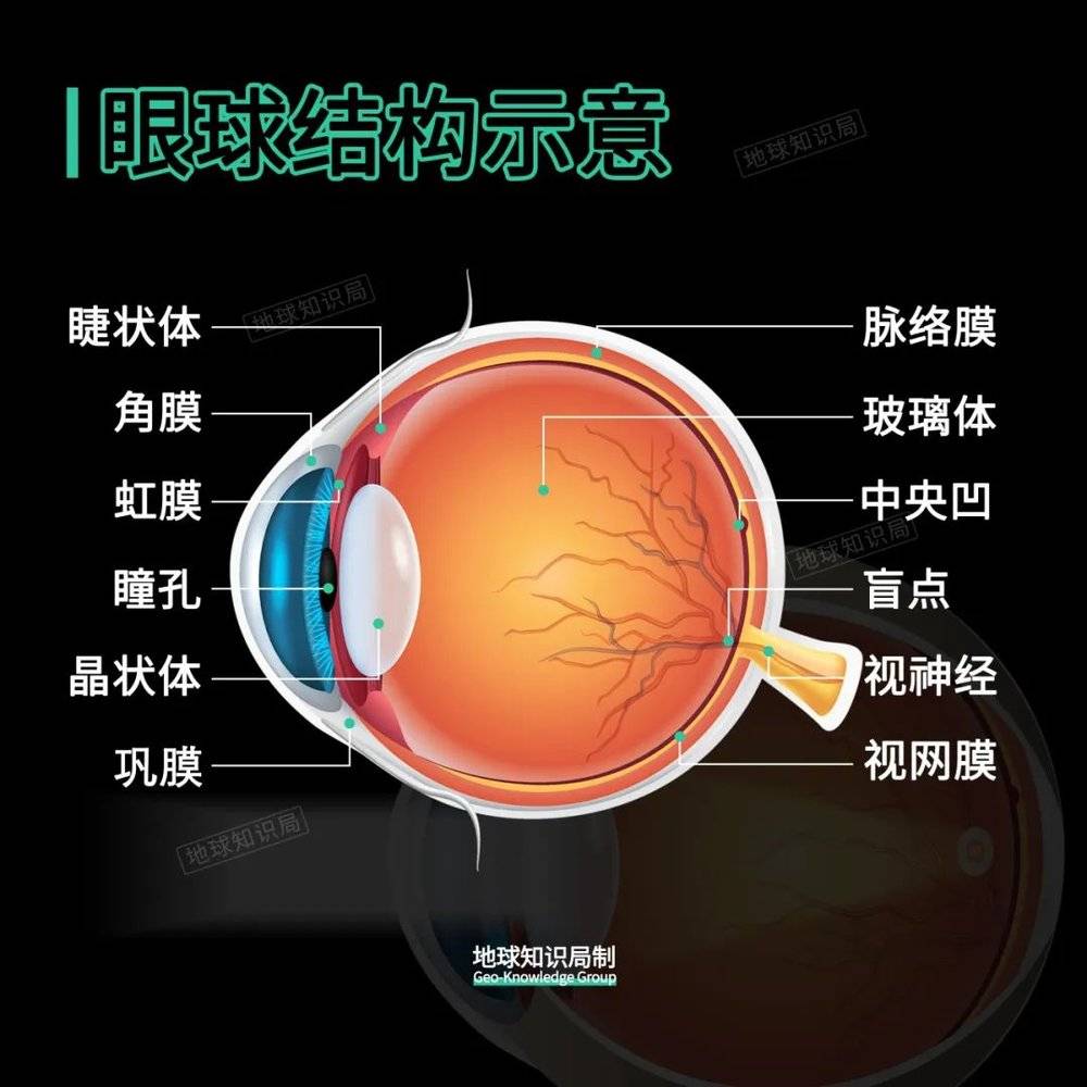 賭波：中國14億人，竟然有7億近眡眼？